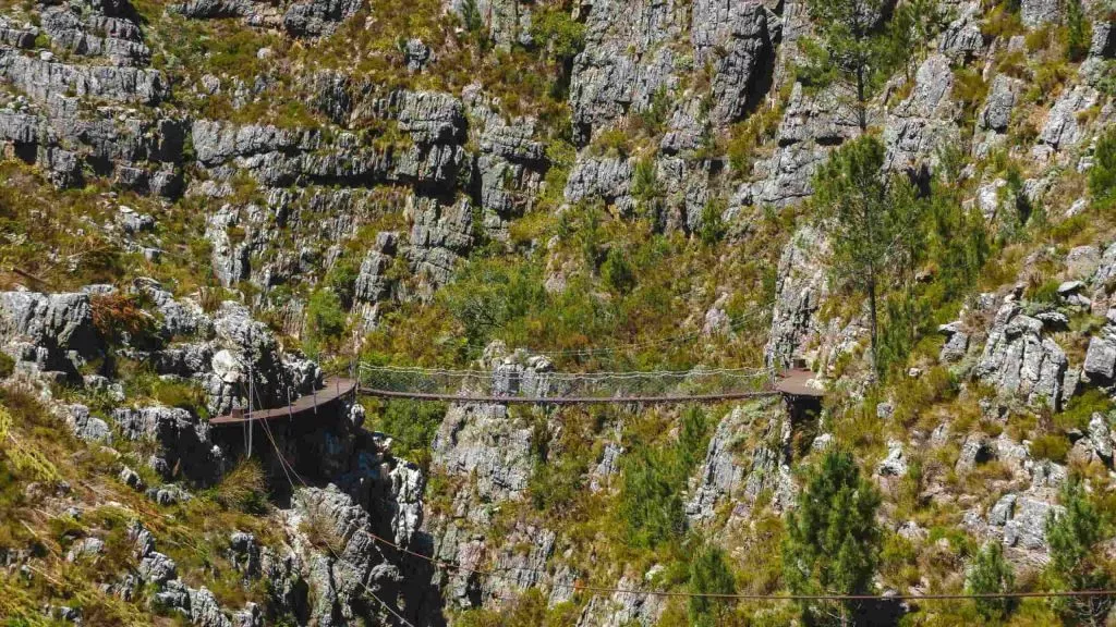 Südafrika_Tsitsikamma_CanopyDSC06190