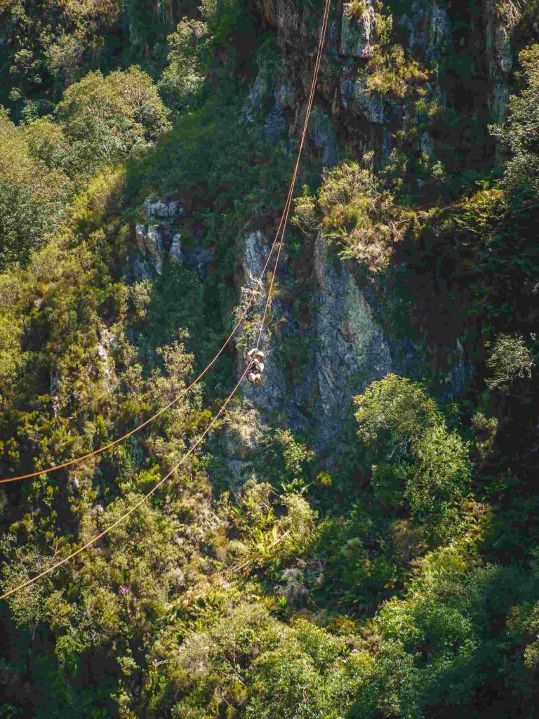 Südafrika_Tsitsikamma_CanopyDSC06217