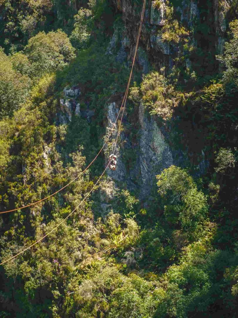 suedafrika tsitsikamma canopydsc06217 suedafrika tsitsikamma canopydsc06217