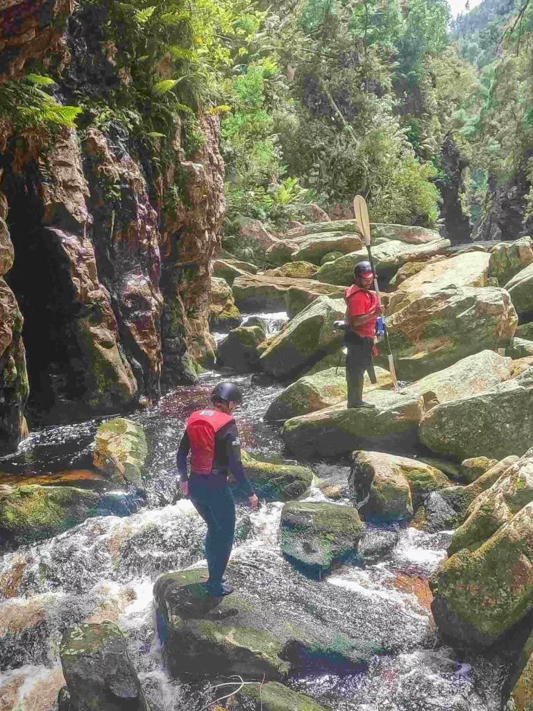 Südafrika_Tsitsikamma_Schlucht während der Tour
