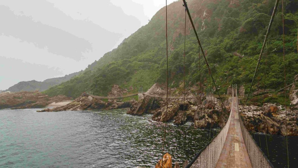 Südafrika_Tsitsikamma_Storms River Mouth Trail