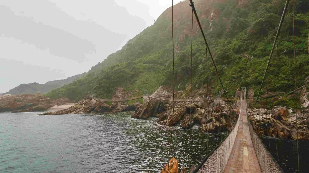 Südafrika_Tsitsikamma_Storms River Mouth Trail