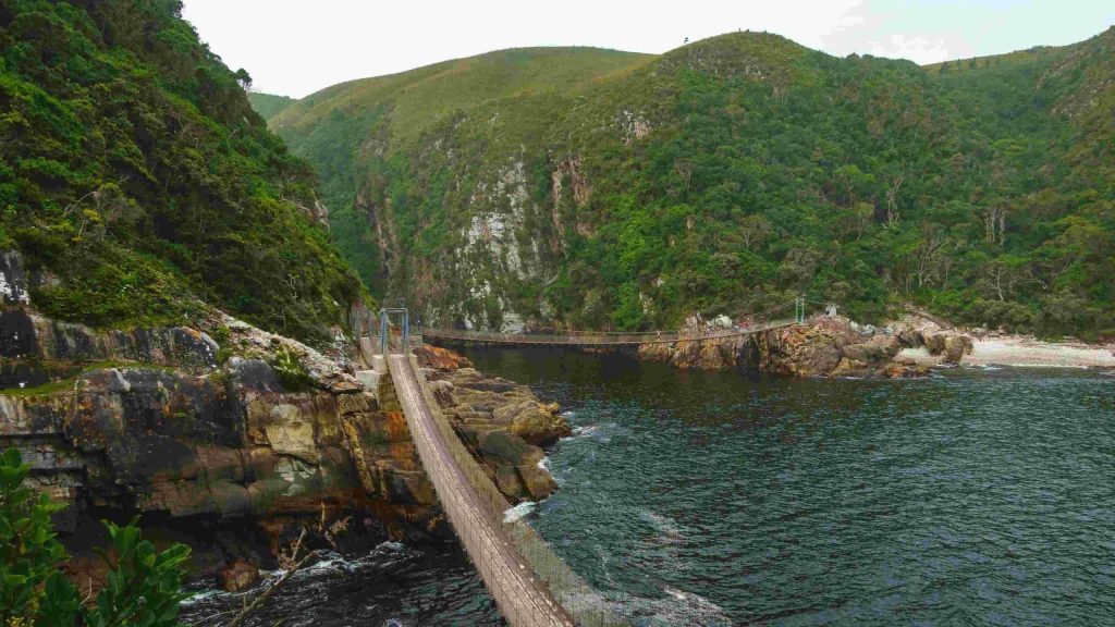 Südafrika_Tsitsikamma_Suspension Bridge