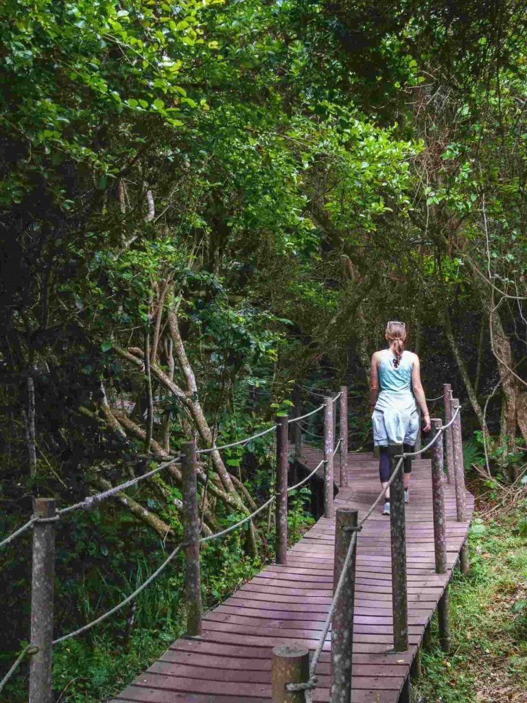 Südafrika_Tsitsikamma_Wanderweg