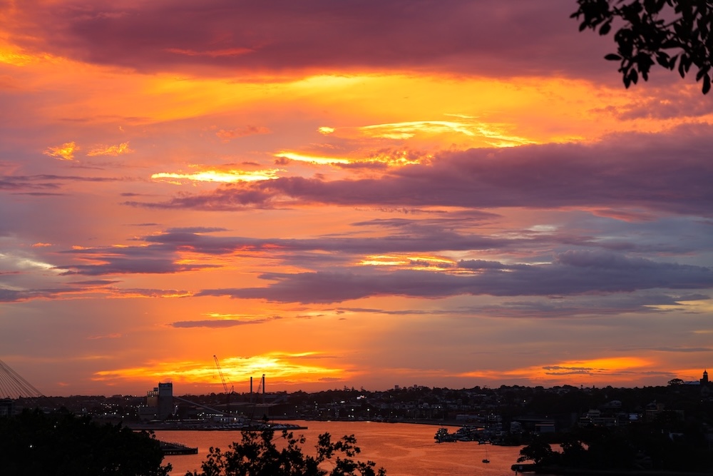 sydney highlights aussicht vom observatory hill park himmel bei sonnenuntergang