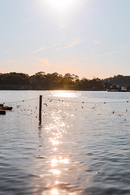 sydney highlights barangaroo reserve
