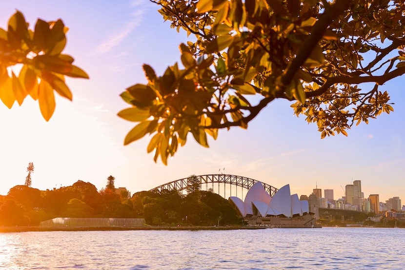 sydney highlights harbour bridge opern haus vom ufer unter baeumen