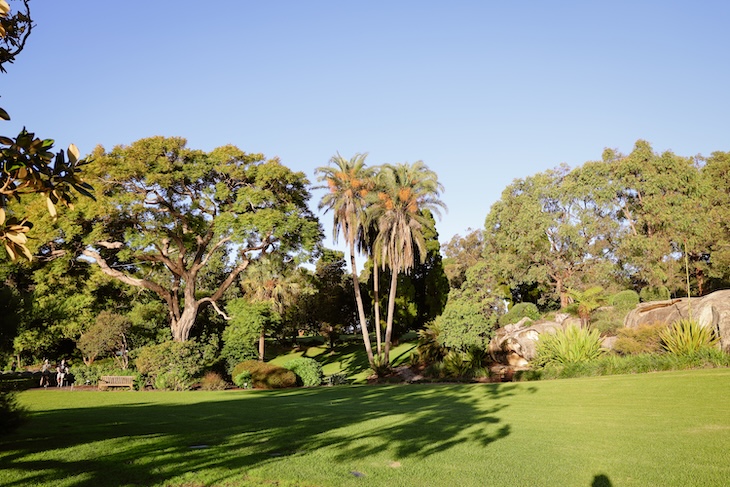 sydney highlights royal botanical gardens