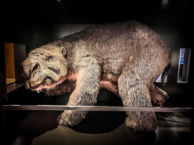 sydney highlights tier im australian museum