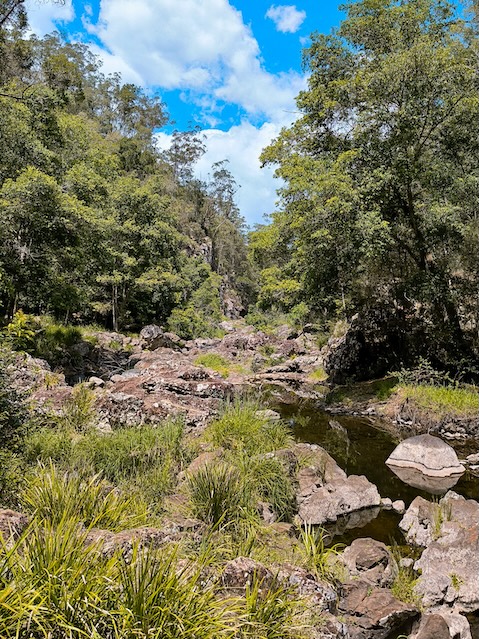 townsville australien natur im paluma range nationalpark 2