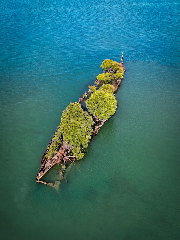 DJI 20241019000841 0025 D