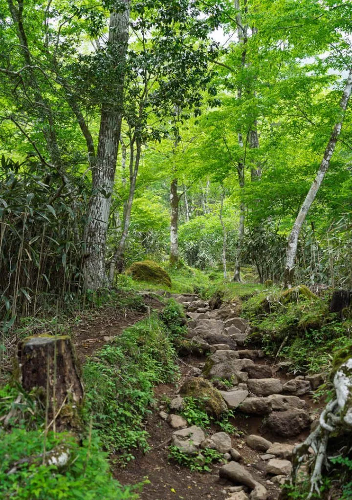 Japan Hakone Hoch zum Mount Kintoki Japan Hakone Hoch zum Mount Kintoki