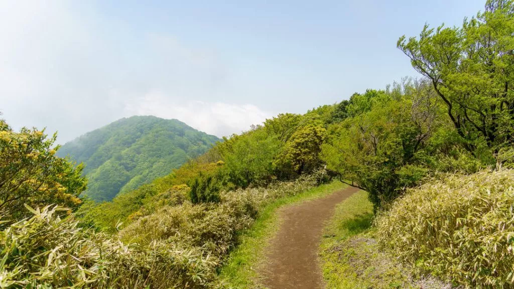 Japan Hakone Rueckweg der Wanderung Japan Hakone Rueckweg der Wanderung