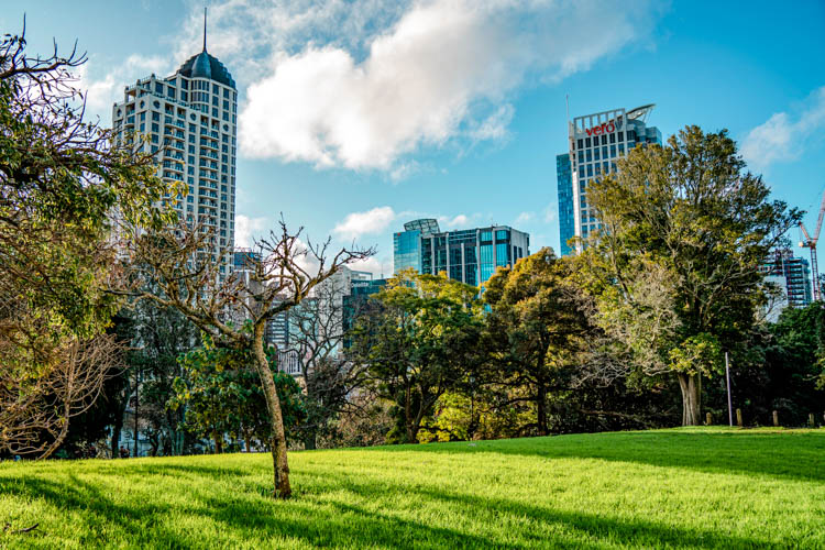 auckland albert park