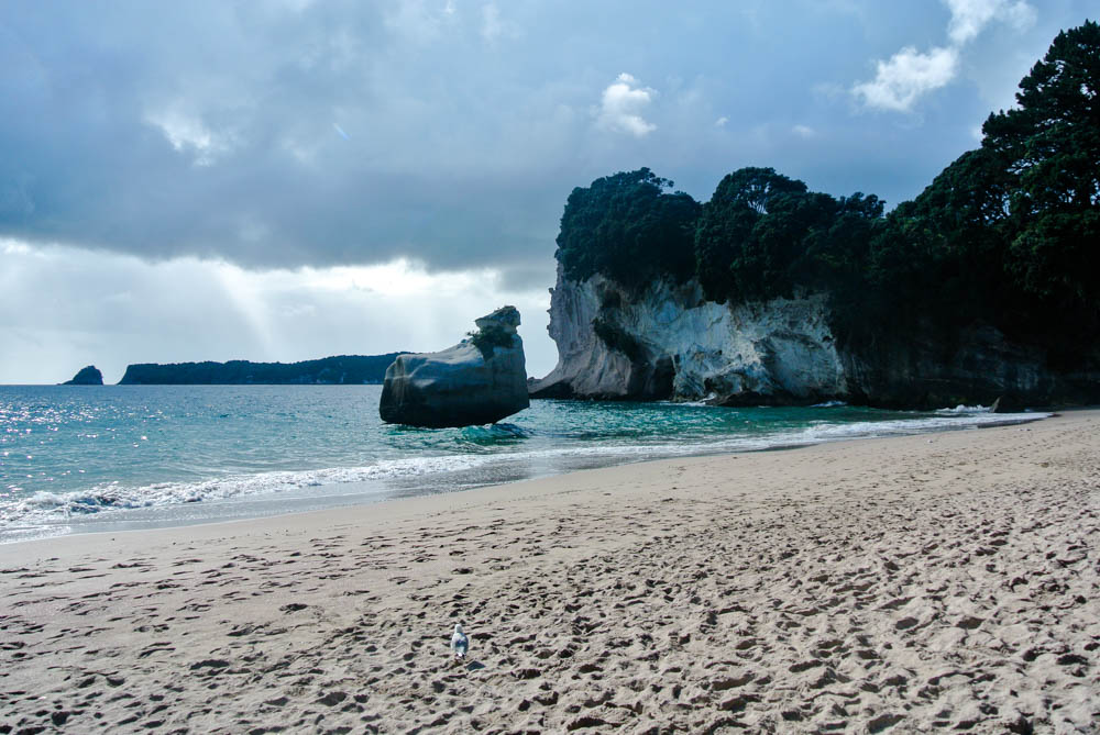 auckland coromandel halbinsel