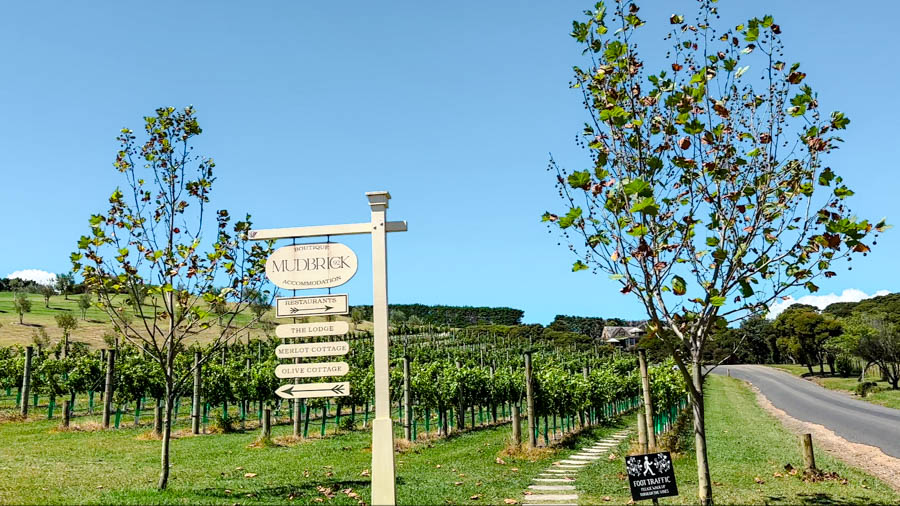 auckland waiheke island weingut auf einem weinberg