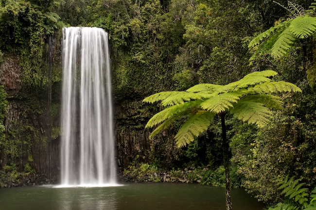 Australien Cairns Atherton Tablelands Millaa Millaa Falls