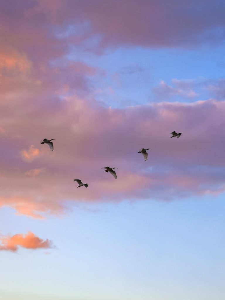 Australien Cairns Esplanade Abendstimmung