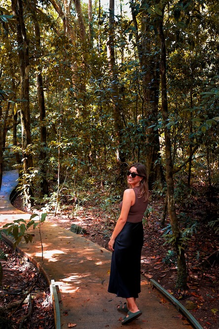 Australien Cairns Port Douglas Cape Tribulation Marrdja Boardwalk