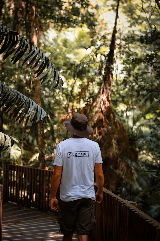 Australien Cairns Port Douglas Cape Tribulation Marrdja Boardwalk