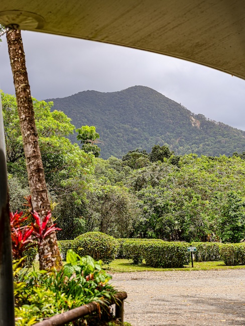 Australien Cairns Port Douglas Daintree Ice Cream Company Gelände