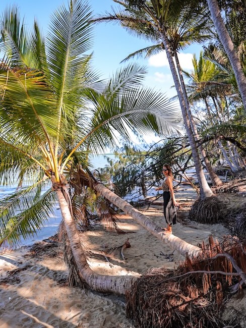 Australien Port Douglas Four Mile Beach