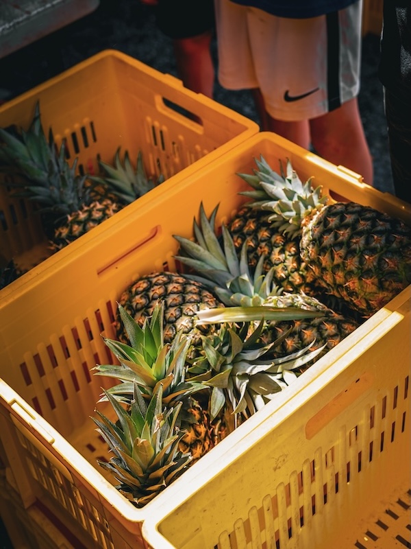 Australien Port Douglas Markets Ananas