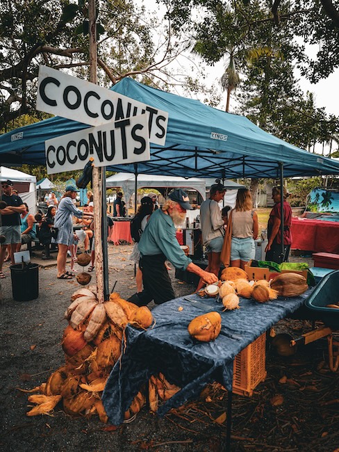 Australien Port Douglas Markets Kokosnüsse