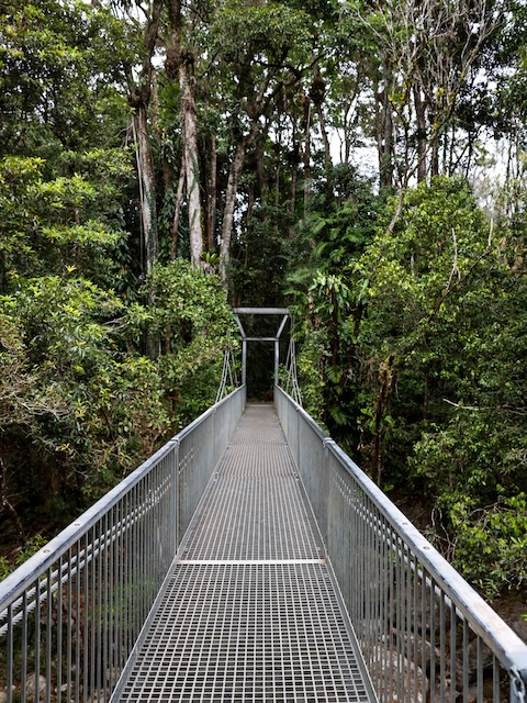 Australien Port Douglas Mossman Gorge Brücke