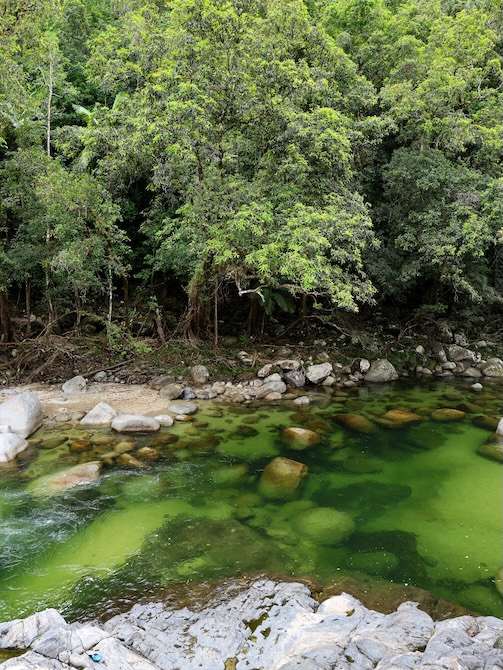 Australien Port Douglas Mossman Gorge Fluss