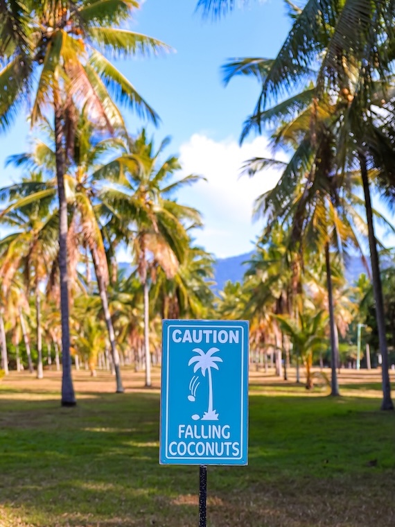 Australien Thala Beach Nature Reserve