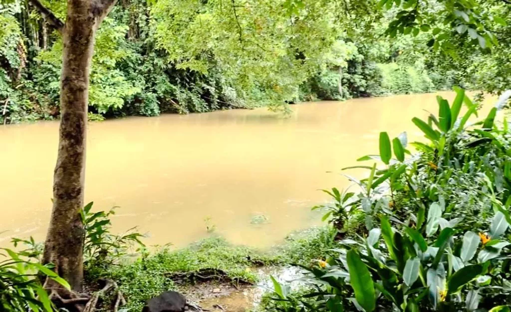 Blick auf den Khao Sok Fluss nach viel Regen beim Khao Sok Riverside Cottages