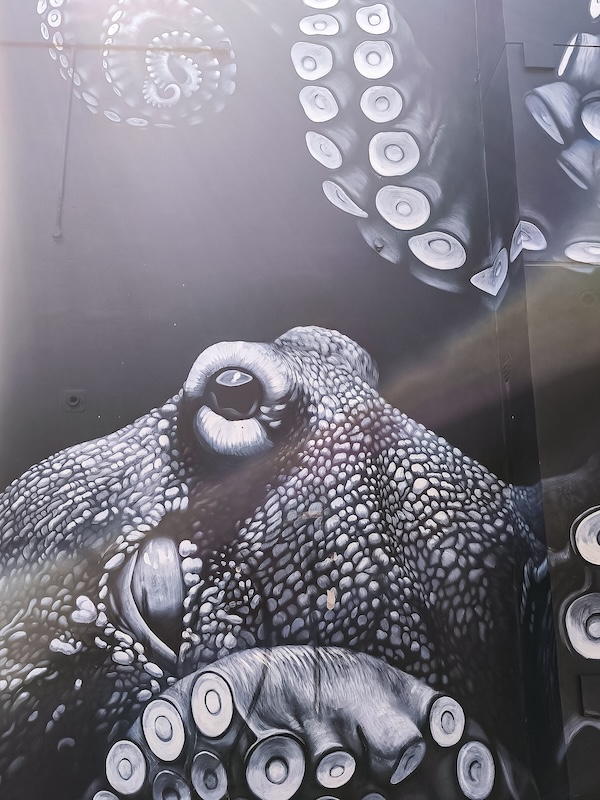 brisbane australien graffiti in der fish lane