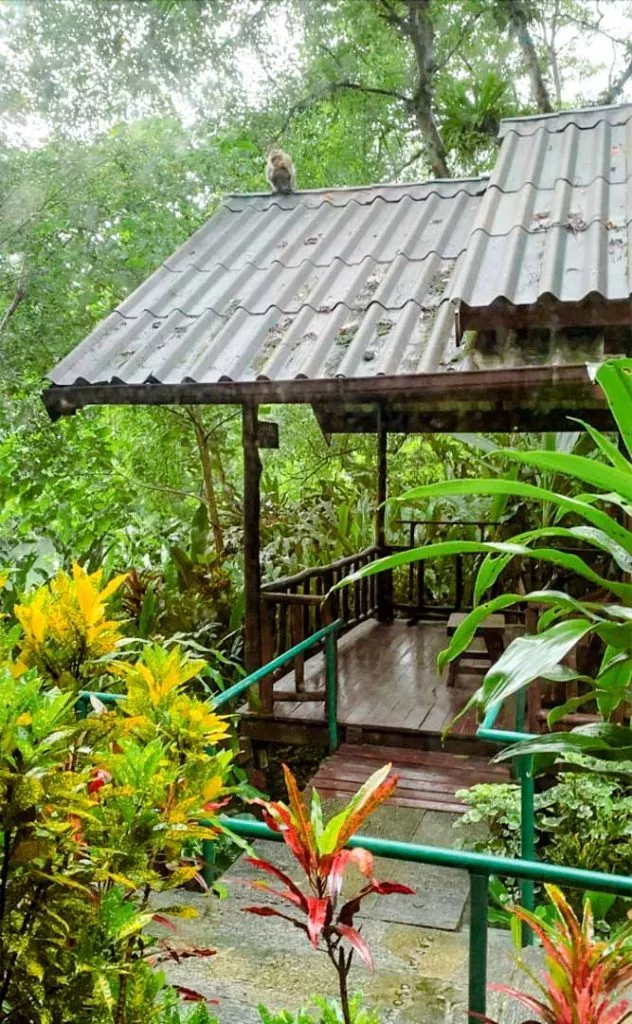 Bungalow im Hotel Khao Sok Riverside Cottages Thailand