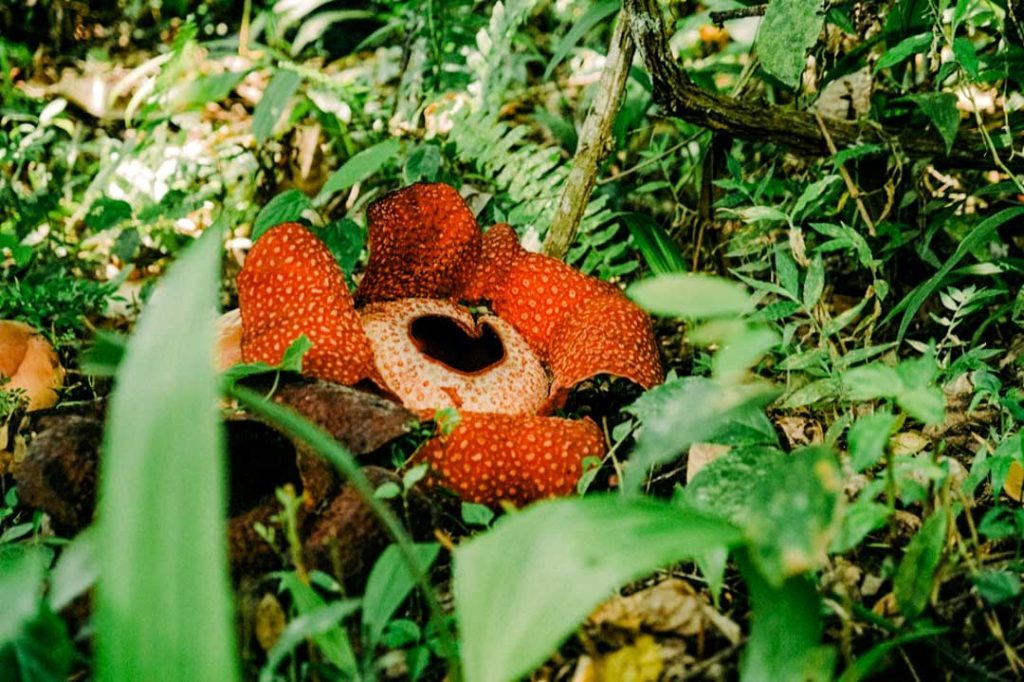 colin meg 82iBXlLodN8 unsplash