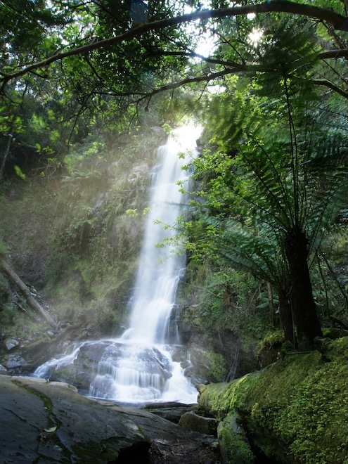 great ocean road australien erskine falls natur