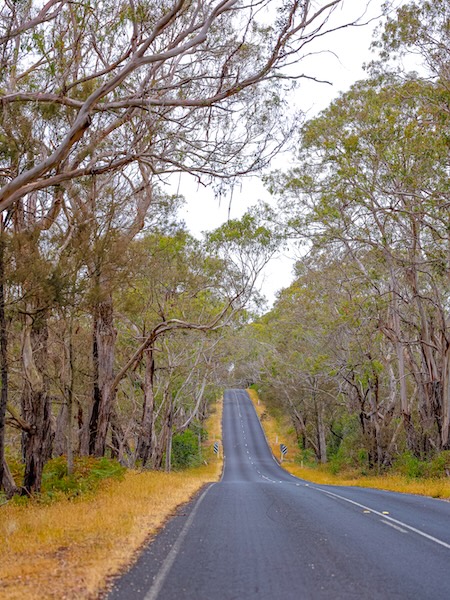 great ocean road australien strasse nach torquay