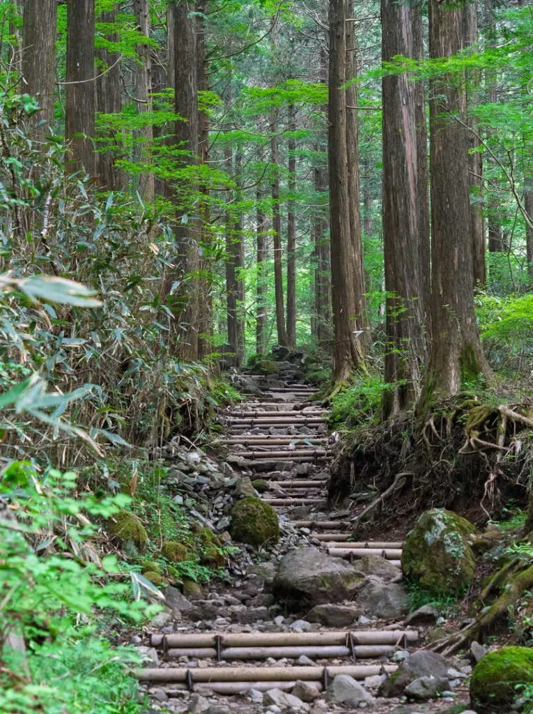 Japan_Hakone_Weg hoch zum Mount Kintoki