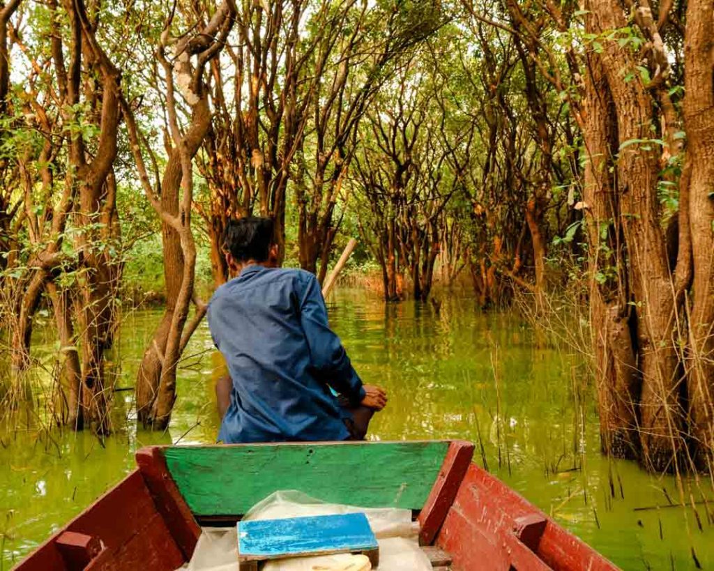 kambodscha siem reap Bootstour durch die Waelder