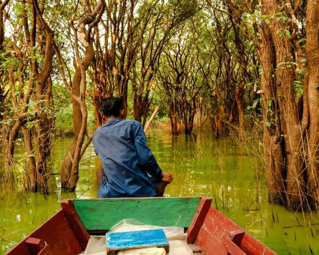 kambodscha-siem-reap-Bootstour durch die Wälder
