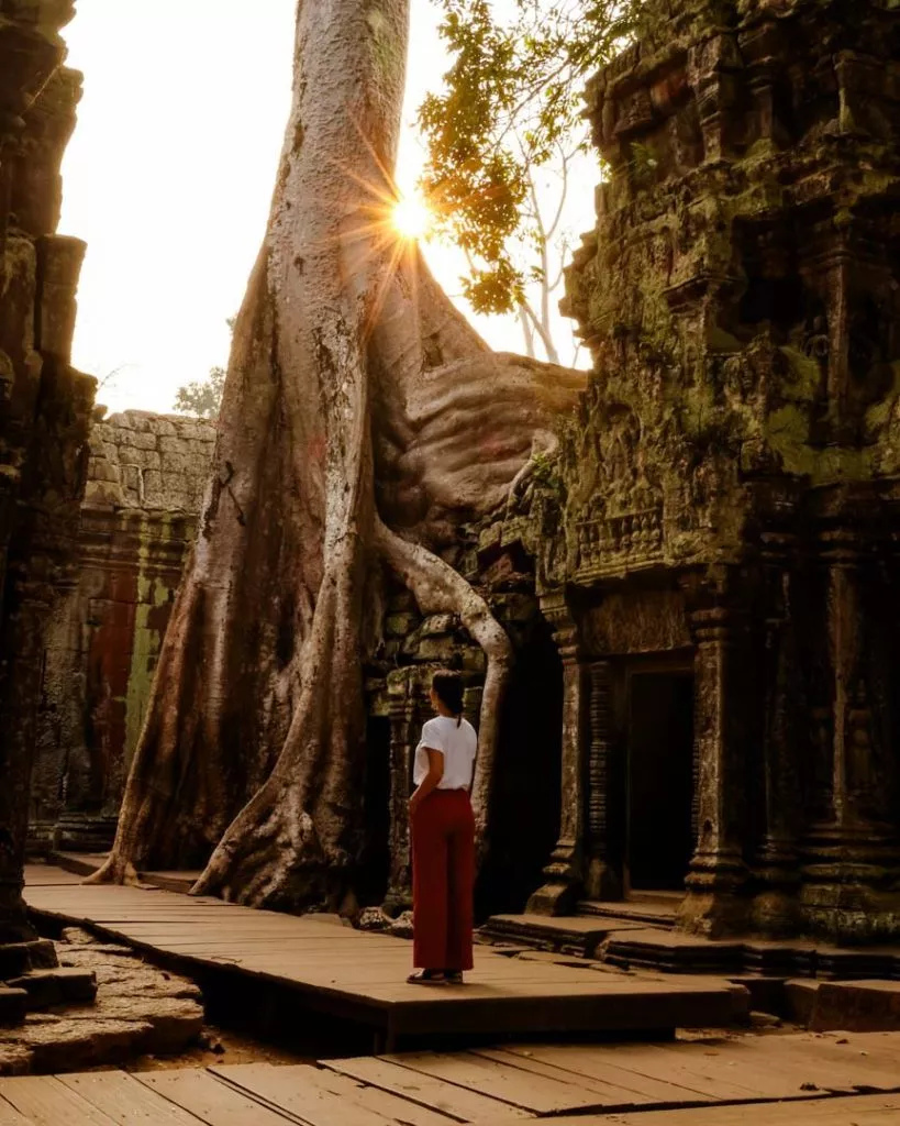 kambodscha-siem-reap-Ta Phrom früh am Morgen