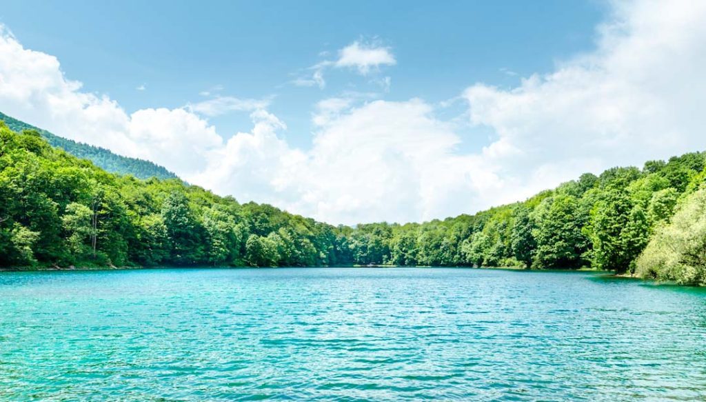 montenegro biogradska gora biograd see