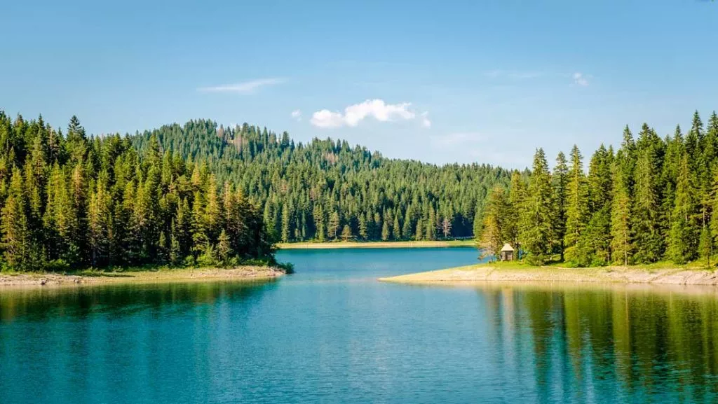Montenegro Zabljak Schwarzer See