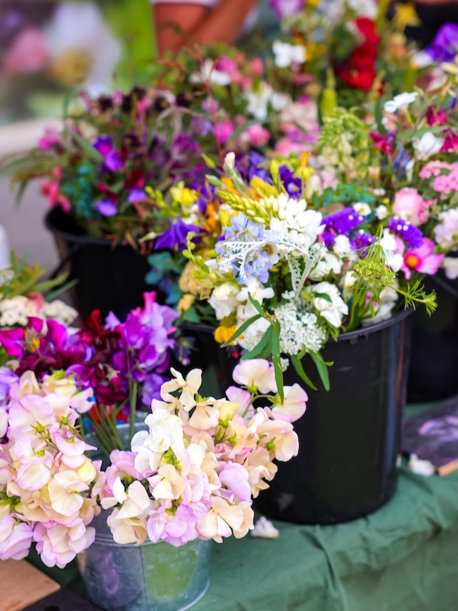 noosa queensland blumen auf den eumundi markets