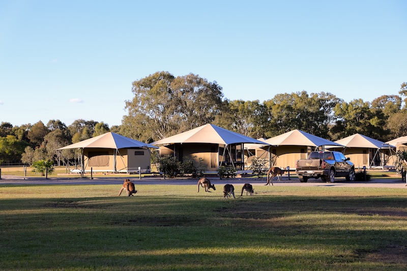 noosa queensland campingarea