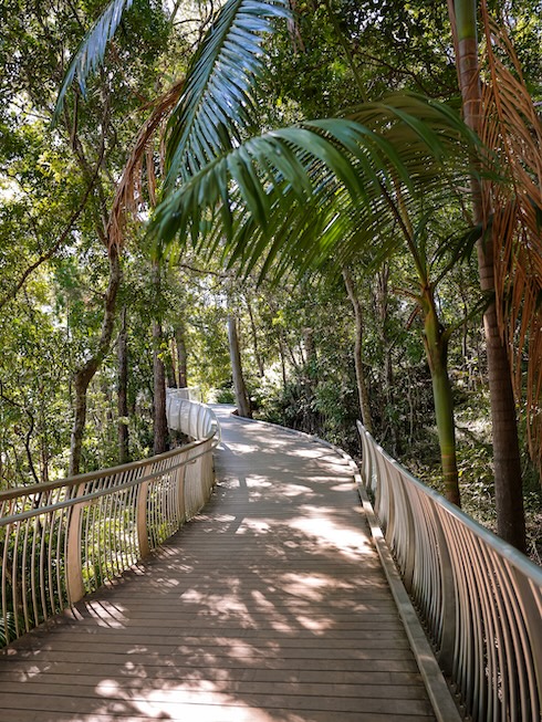 noosa queensland costal walk