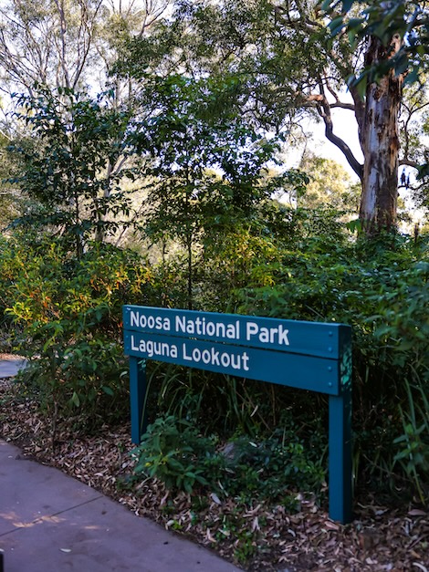 noosa queensland laguna lookout schild
