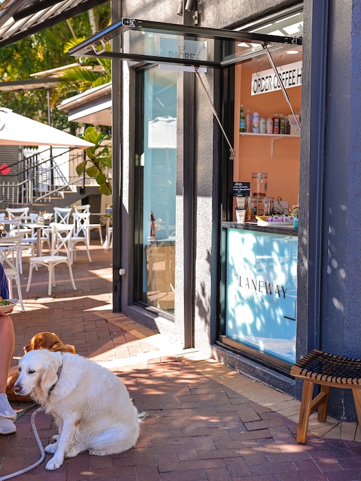 noosa queensland laneway flowers coffee noosa heads to go fenster