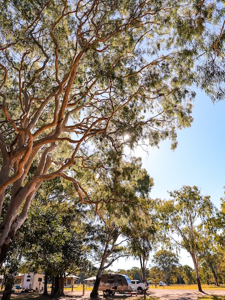 noosa queensland natur