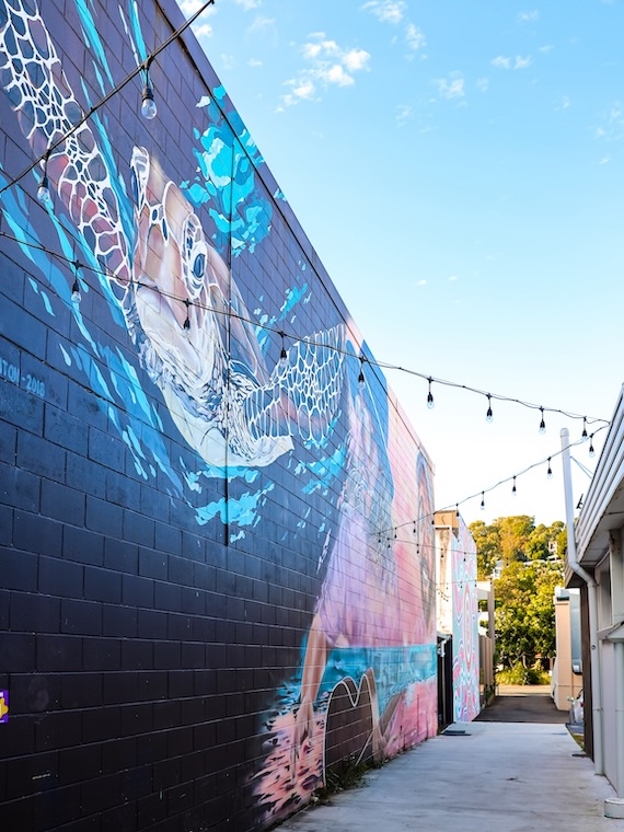 noosa queensland noosa junction art mural laneways